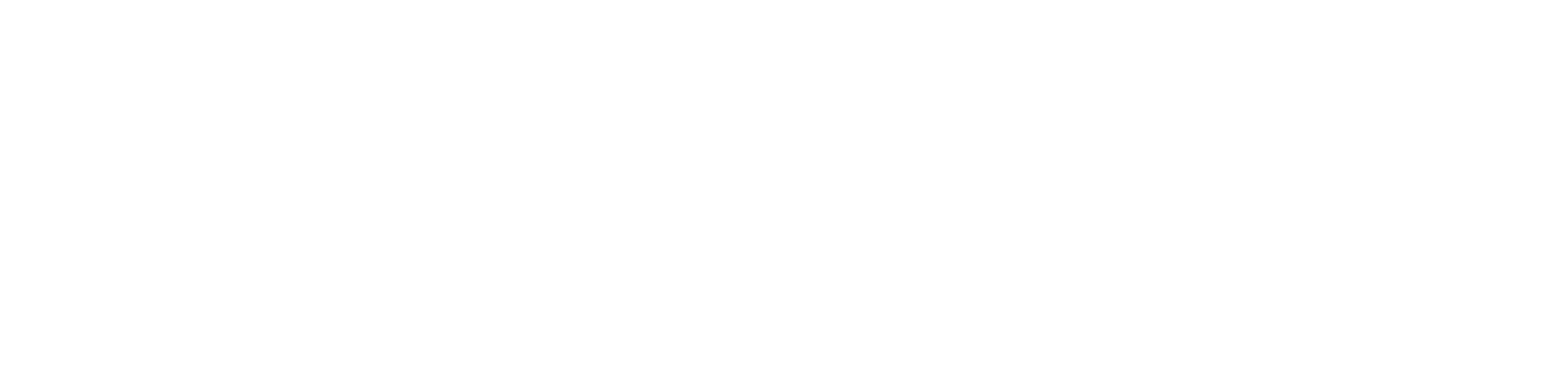 DirolProtocol